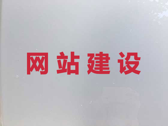 杭州专业网站设计建设